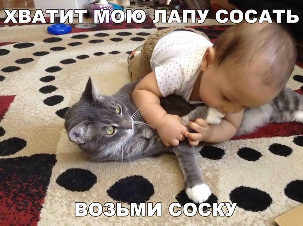Мохнатые беспредельщики
