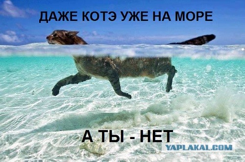 Прикольные пляжные фото