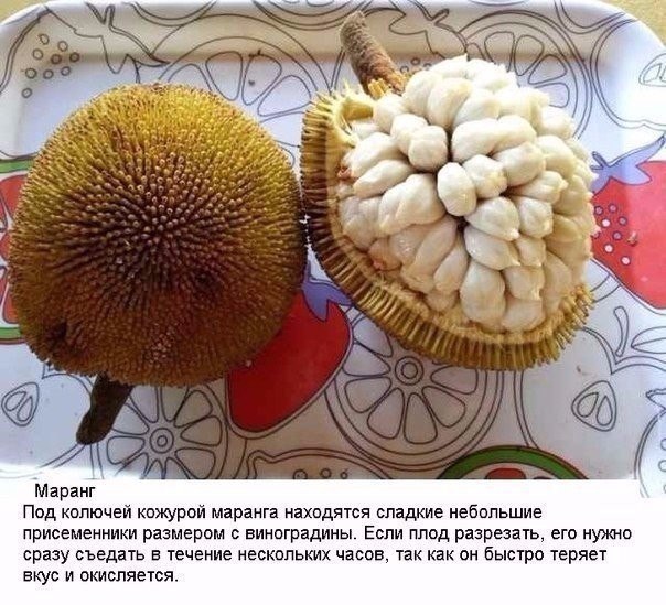 Подборка фото