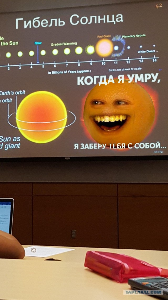 27 учителей, которые слишком круты для своей работы