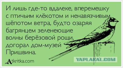 Филологам посвящается: