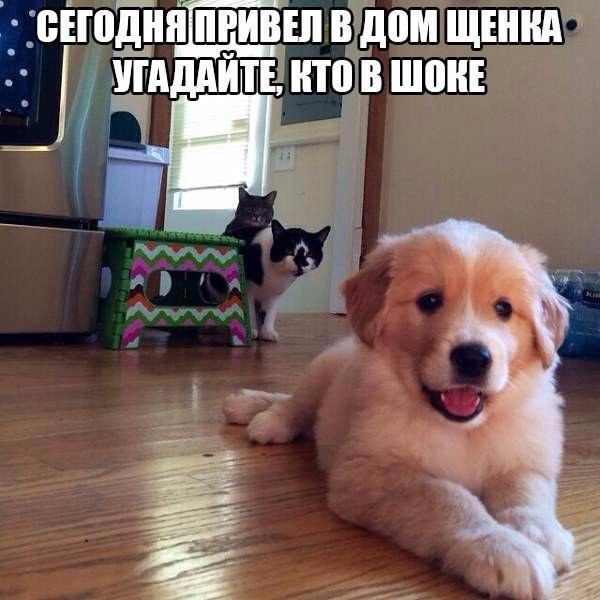 Разные картинки из сети