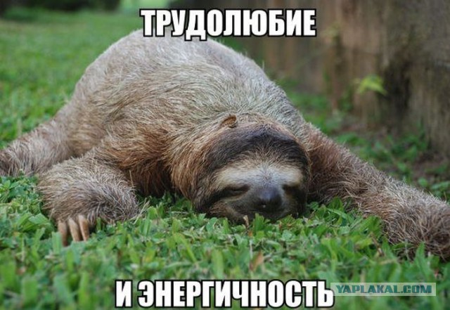 Госдума начала работать
