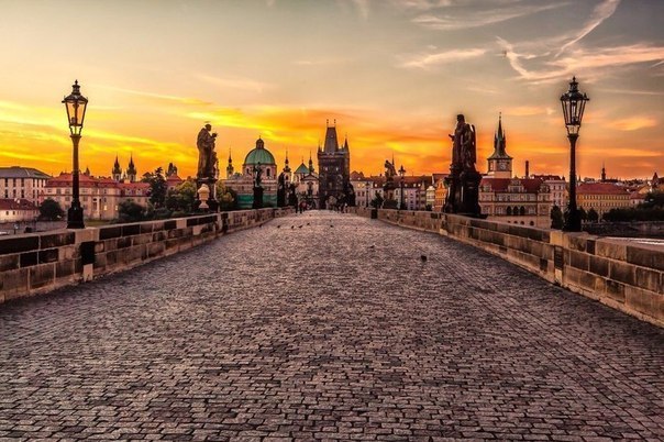 Моменты, запечатлённые на фото и просто позитив 5