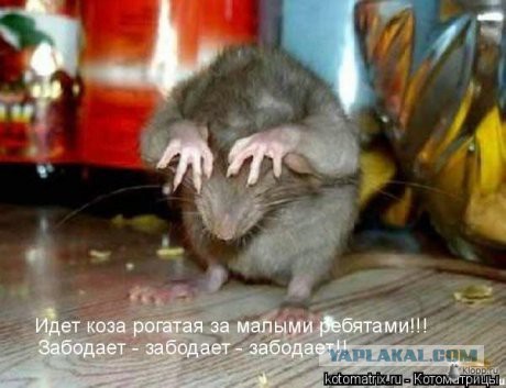 Подборка интересных и веселых картинок