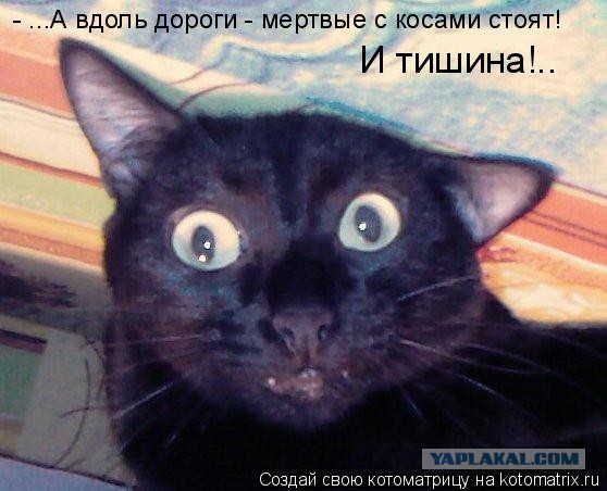 Что-то непонятное происходит на трассе в Ростове
