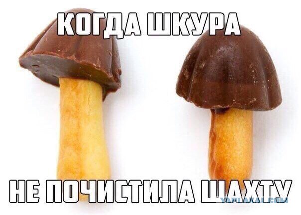 Смотрим и деградируем