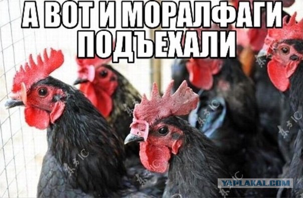 Пост аморального тупежа к этим выходным