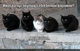 Перестаралась
