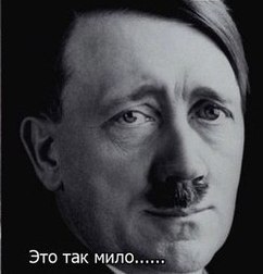 Попугай выносит мозг коту