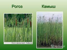 Раздражающие ошибки-2
