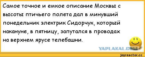 Ничего себе работа! Сколько же им платят за это?!