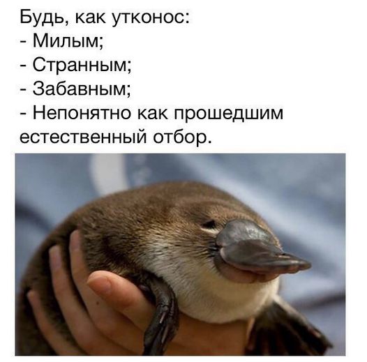 Подборка интересных и веселых картинок