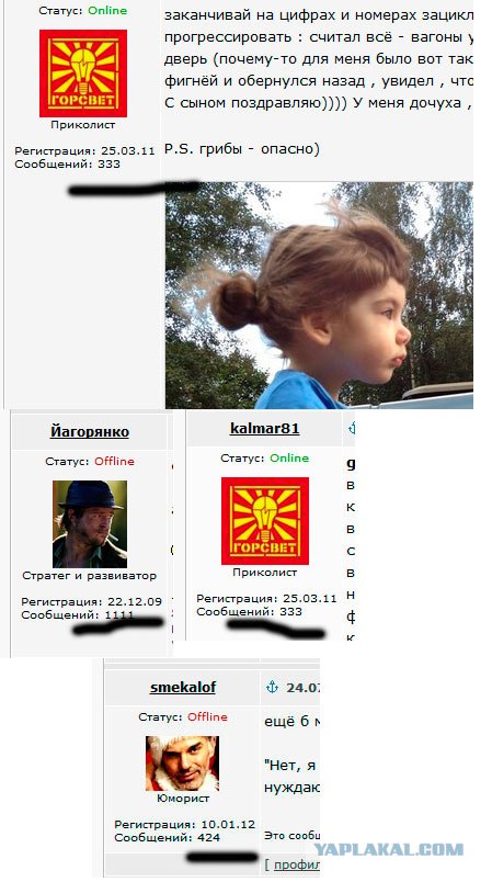 Волшебные грибочки