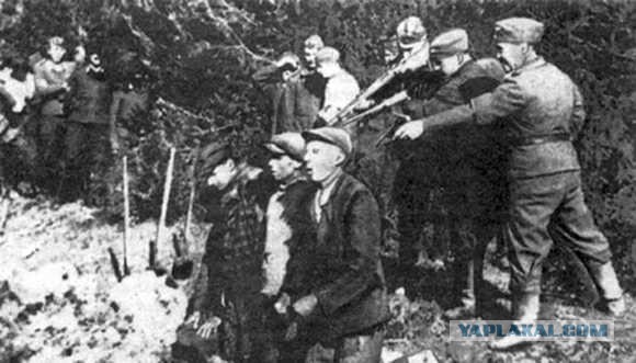 О венграх, которых под Воронежем не брали в плен.