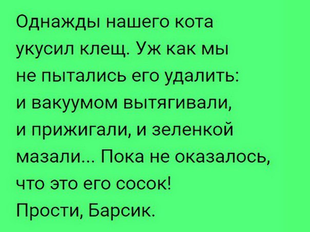 Немного веселых картинок для пятничного настроения