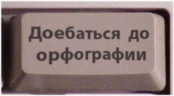 25 животных, которые могут запросто убить человека