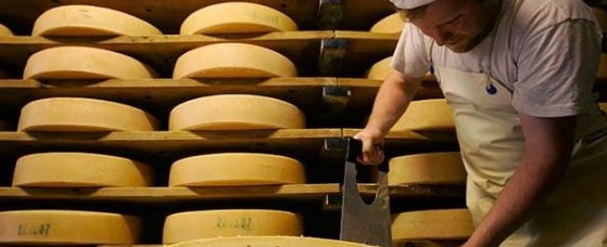 В Саратове санкционному сыру зачитали приговор