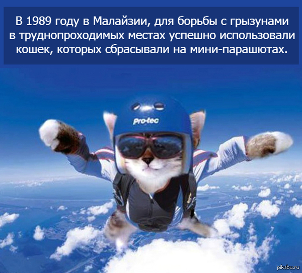Прыжок на 11 баллов из 10-ти