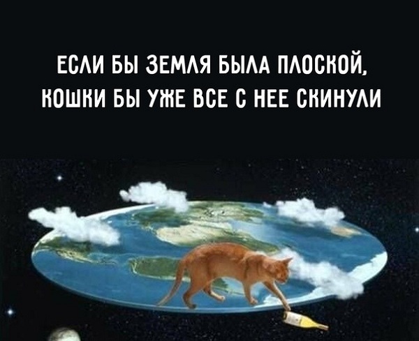 Плоскоземельщики отправятся в Антарктику на поиски «края» планеты