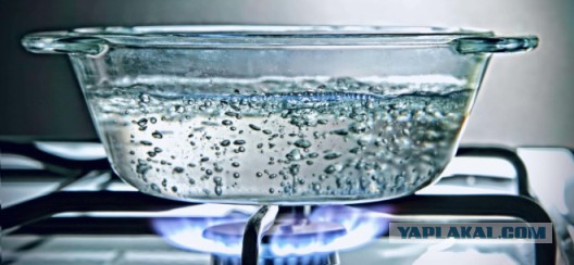 Тяжёлая вода — яд или панацея?