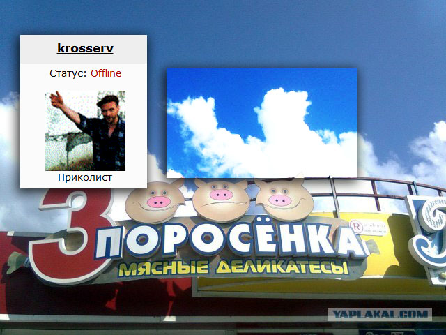 По-моему, средний о чем-то догадывается ;)