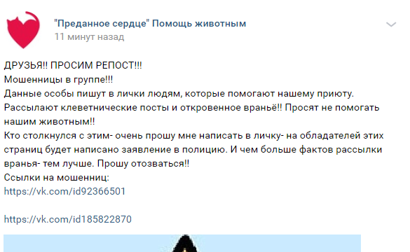 Помогите вернуть кота! Приют "Преданное сердце" украл кота и не отдает!-2