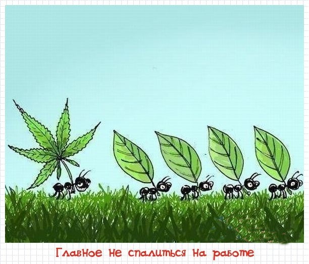 ПИkчeReЗW #3 от 10.02.2020