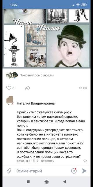 Помогите вернуть кота! Приют "Преданное сердце" украл кота и не отдает!-2