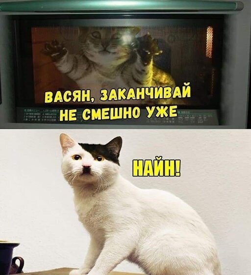 Веселые картинки 05.04.20