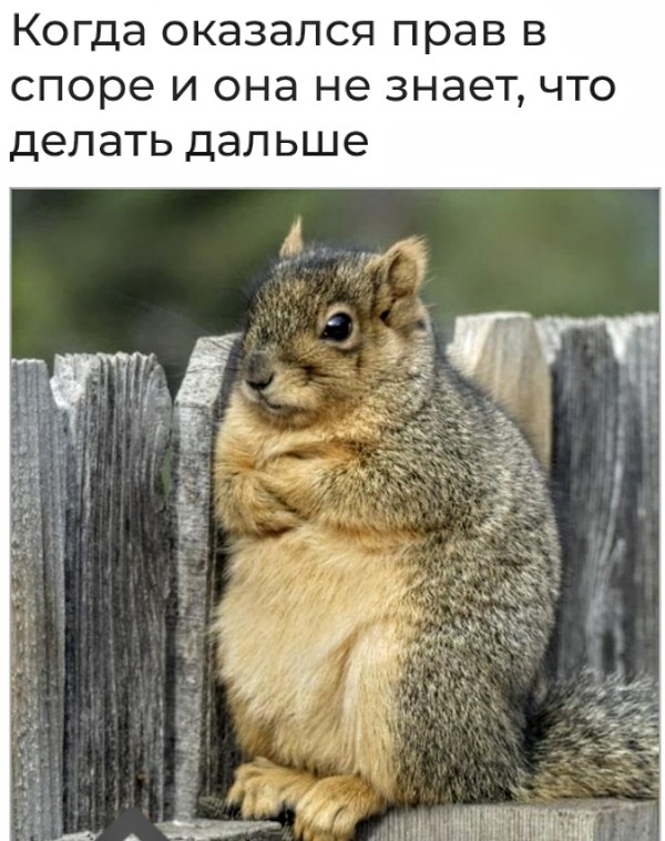 Немного картинок для настроения 11.07.20