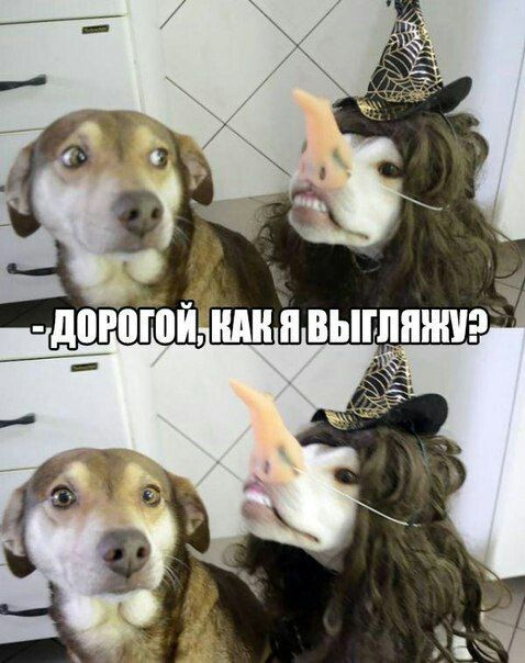 Картинки разные нужны, картинки всякие важны