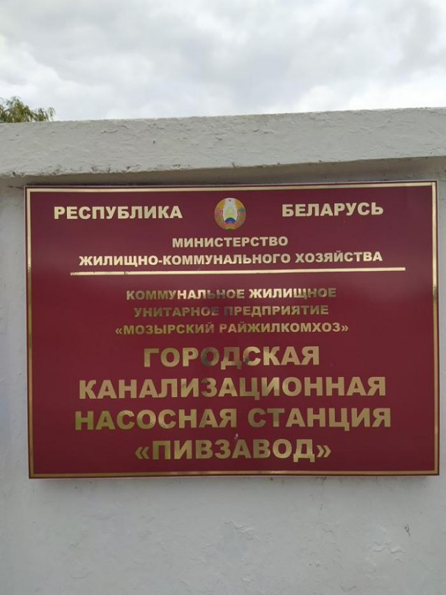 Фотки и картинки: юморные и красивые, забавные и милые 07.10.20