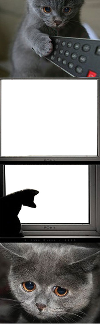 Почему котейко грустный?