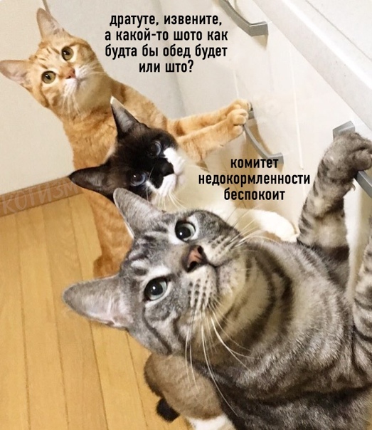 Юмор в картинках 29.11.20