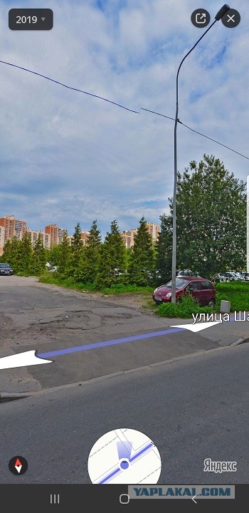 У жителей Приморского района Петербурга украли елки, чтобы посадить их у храма