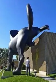 Мова головного мозга