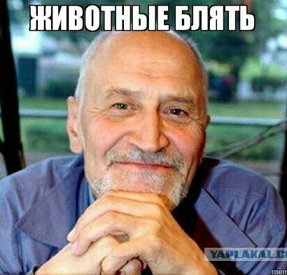 Кто такой "чёрный инопланетянин"?