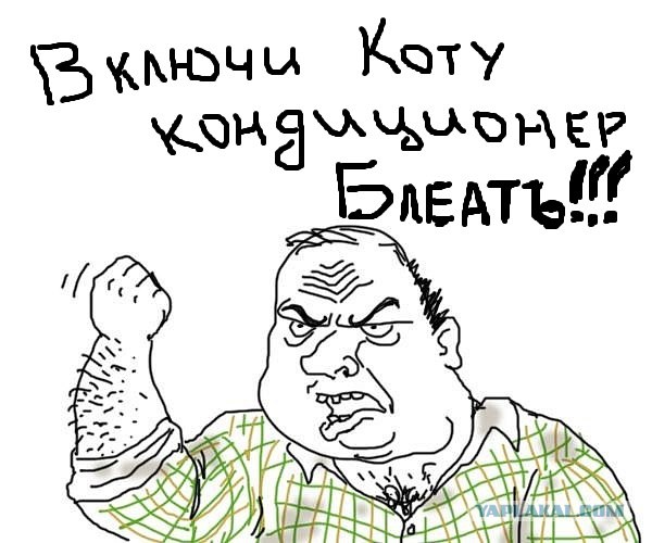 Жарко стало котику