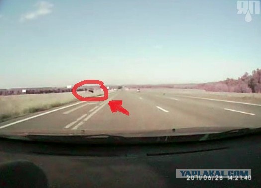 Камаз сбросил Рено с дороги