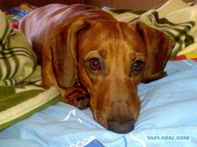 Можно я с краешку прилягу?