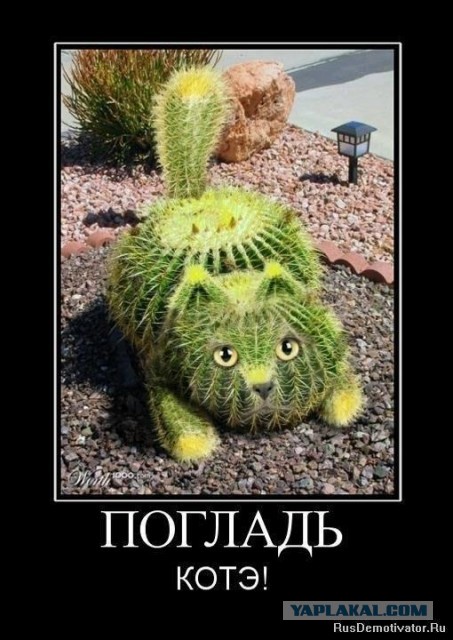 Бредзона 30.03.21