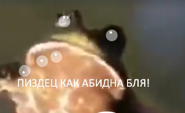 Я тоже в своем роде вегетарианец