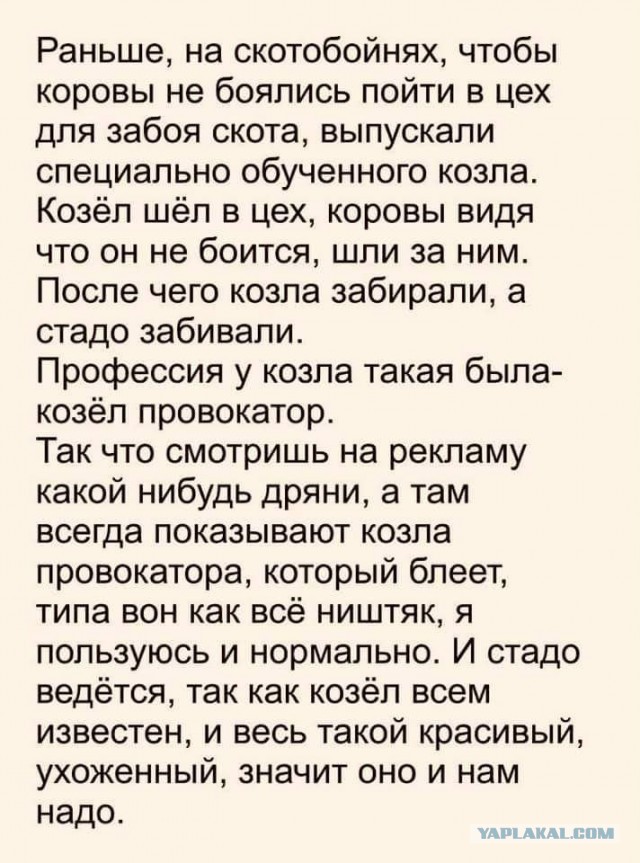 До меня дошло