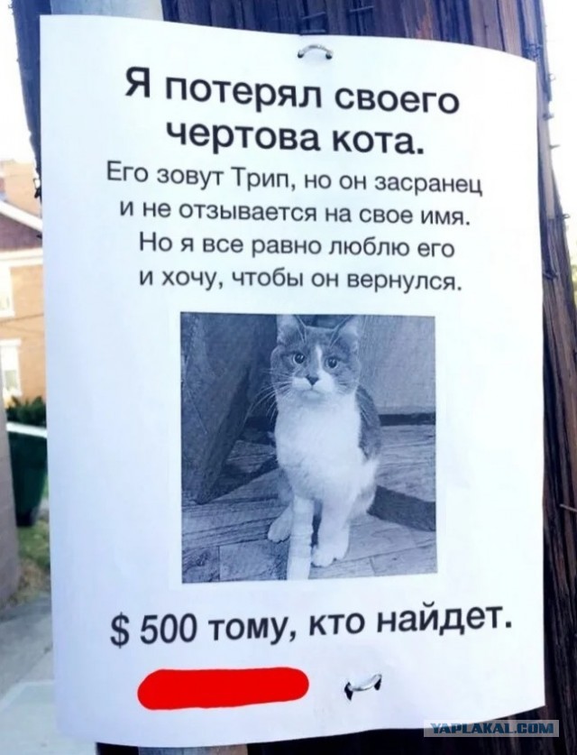Так себе картинки 18.07.21