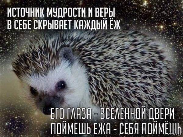 Максимум позитива, хоть и слегка колючего