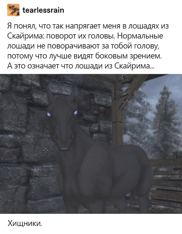 Весёлый полтишок 23.07