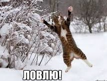 Можно ли спуститься с МКС с парашютом на Землю ?