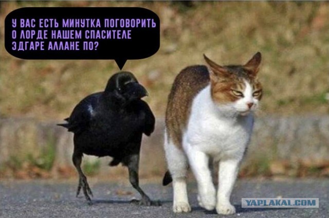 Вам в Петербург