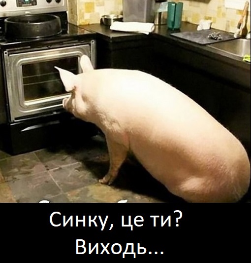 Смешные комментарии из социальных сетей 31.12.21